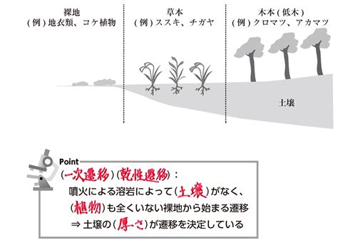 一次遷移|一次遷移の定義と例